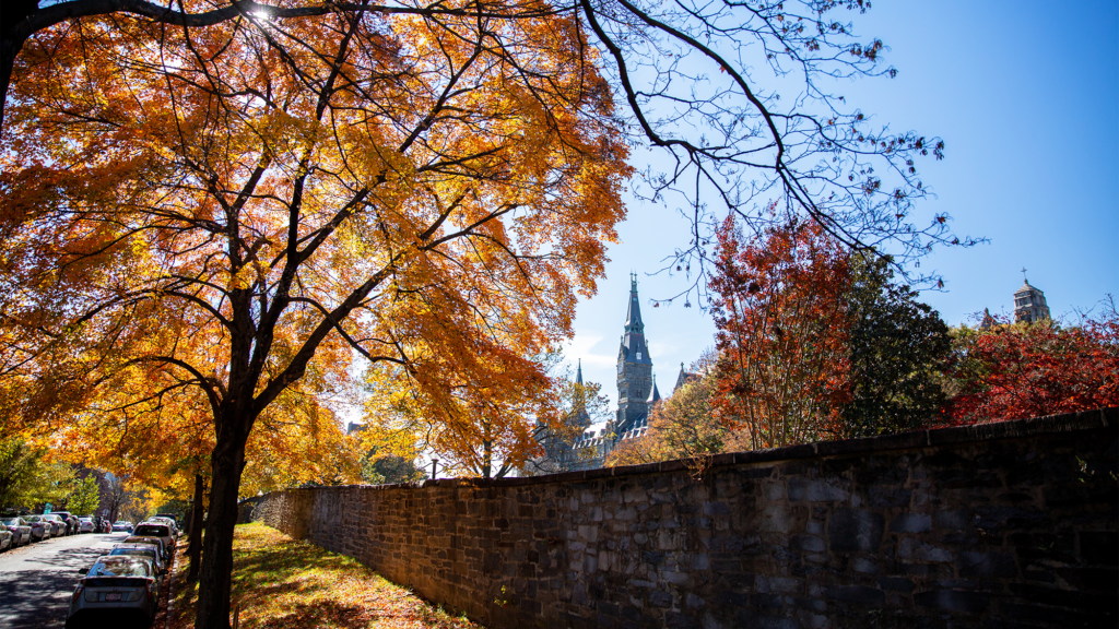 A view of campus in fall