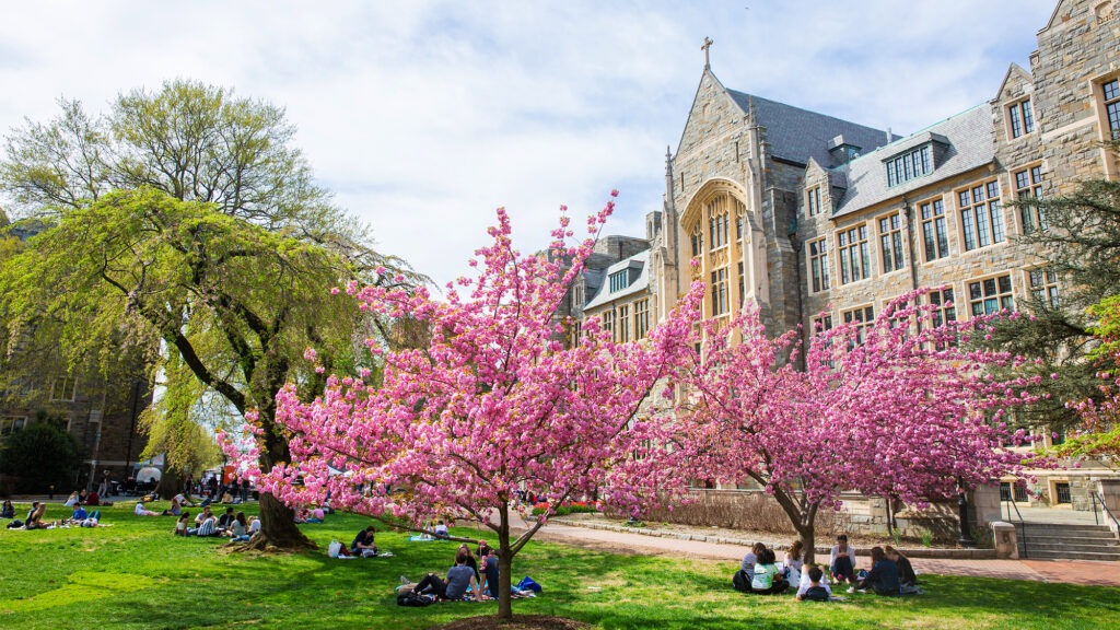 The campus in spring bloom