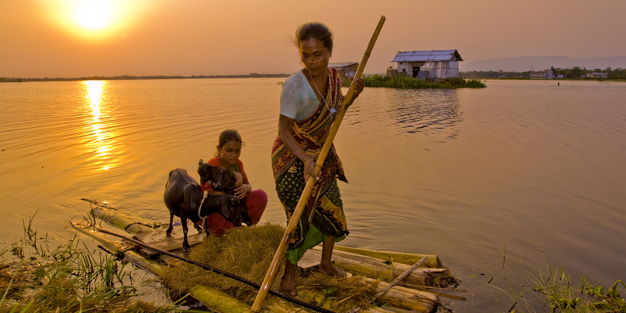 A Bangladeshi woman pushes a raft on which a child and two goats are riding