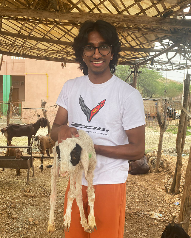 Sresth Viswanathan holds a goat amid others in a pen in India