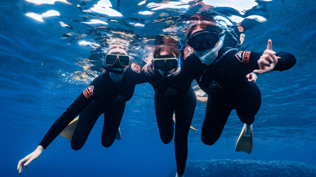 Three Global Health Program students wearing scuba gear swim underwater