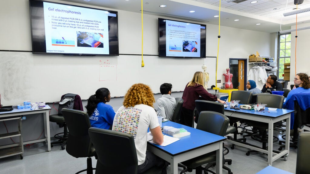 Students sit at tables in the Discovery Center classroom while on the wall two video screens display information about gel electrophoresis