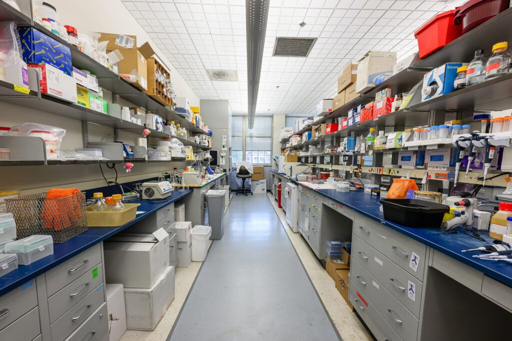 A view of the lab prep area of the Discovery Center lined with shelves of equipment