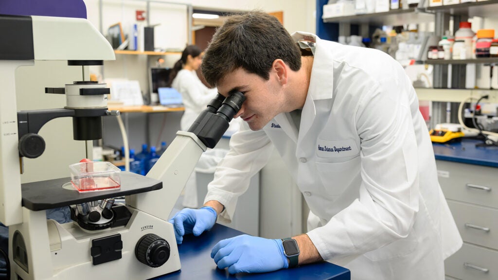 A male student looks through a microscope in the Discovery Center