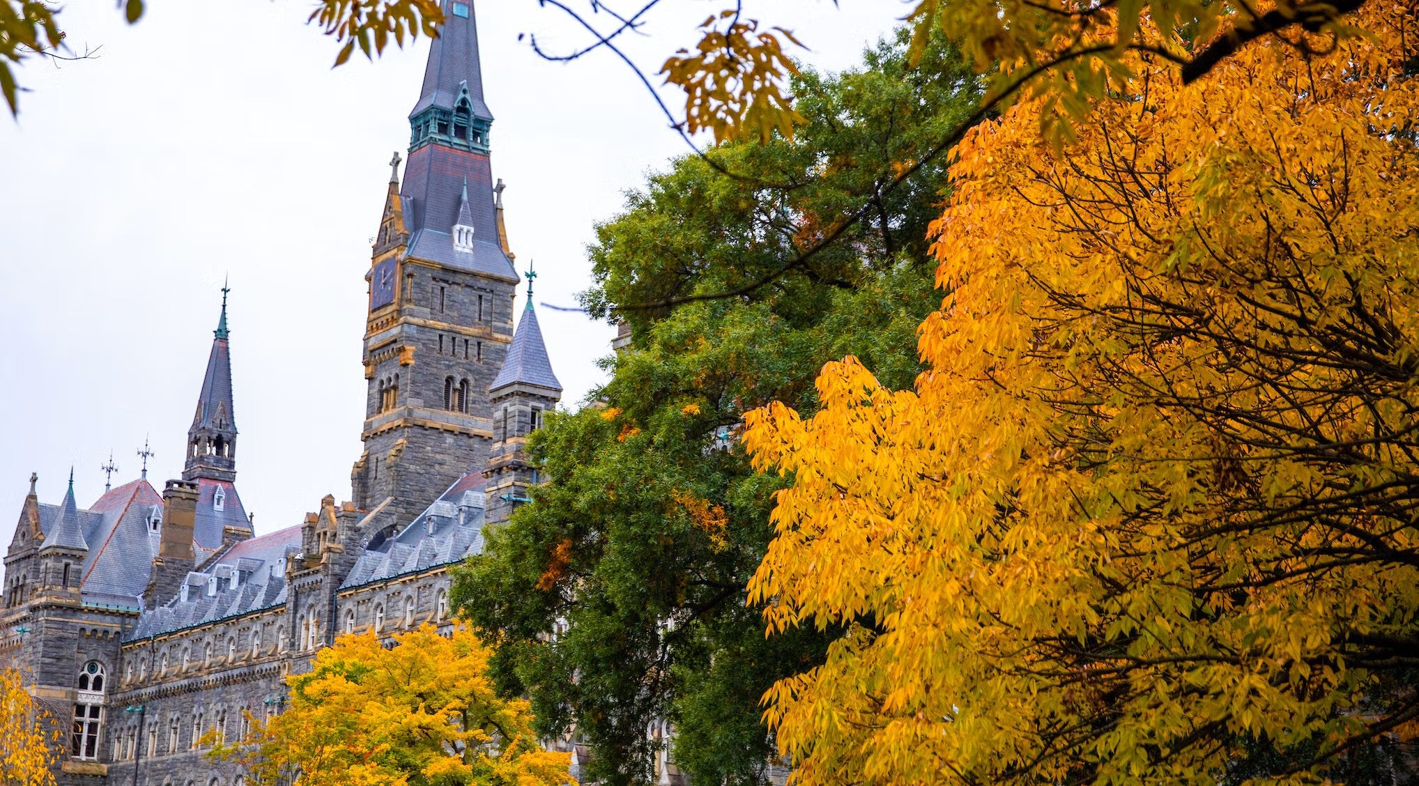 Healy Hall amid fall colors
